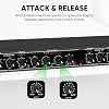 Audio Compressor, Professional Dual-Channel Rackmount Vocal Compressor/Limiter with Noise Gate, Sidechain Insert, and XLR/TRS Inputs for Studio, Live & Streaming