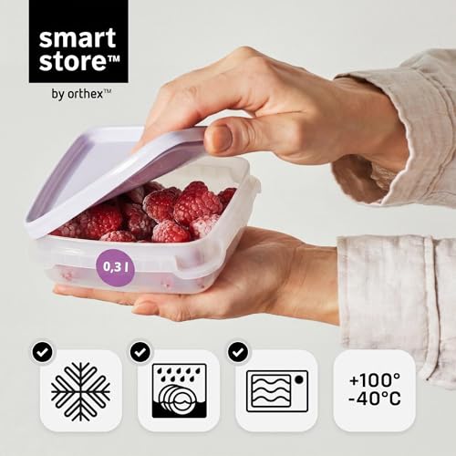 SmartStore Frischhaltedosen mit Deckel und Kühlschrank Organizer 0.3L 6er Set | Geeignet für Kühlschrank und Gefrierschrank… – Ansicht 4