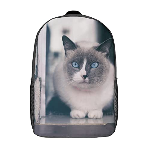Cartable enfant chat solide 17 pouces contre le mal de dos