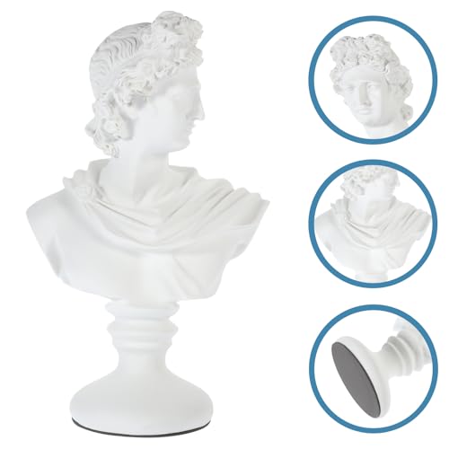 Buste d'Apollon Healvian : statue blanche pour décorer votre bibliothèque - 8
