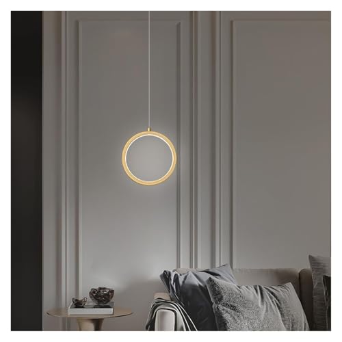 Luces Colgantes de Anillo LED Minimalistas Lámpara de Techo Suspendida Kxtmm 6