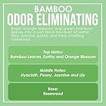 Bamboo Odor Eliminating Highly Fragranced Candle - Eliminates 95% of Pet, Smoke, Food, and Other Smells Quickly - Up to 80 Hour Burn time - 12 Ounce Premium Soy Blend - Image 5