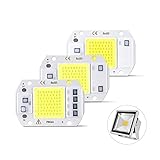 Flujo luminoso: 90-120LM / W GSZZBHDP ZeZhen Bombillas de luz LED DIY LED COB Chip Lighting 20W 30W 50W 220V 110V No Necesita Necesidad Smart IC DIROBLE DIODE Chip Chip Beads for LA LUZ DE INUNDADA Bombilla de luz LED
