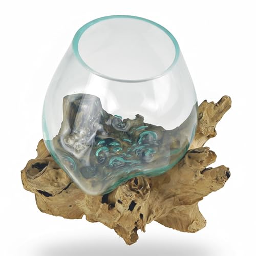 Tokoindah Deko Glasvase auf natürlicher Gamal-Wurzel – Handgefertigtes Unikat | Mundgeblasenes Glas & Treibholz | Pflanzgefäß, Tischdeko, Naturkunst (ca. 15cm Höhe, individuelle Maserung)