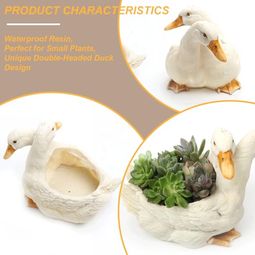 Jardinière succulente canard pour égayer votre décoration de bureau à domicile - 3