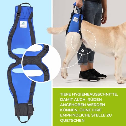 Nature Pet © - Tragehilfe Hund hinten - Verstellbarer Hunde Tragegurt als Treppenhilfe - Ideal für ältere, kranke oder operierte Vierbeiner - Praktische Unterstützung für Mobilität (L, Blau)