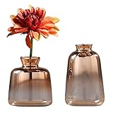 ❥【Perfecto para plantas】 el jarrón de capullos encaja perfectamente con tallos florales o tu flor fresca favorita (no incluida).