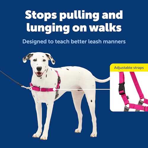 PetSafe Easy Walk Harness Review: No Pull Dog Harness, Raspberry, Medium/Large Image 3