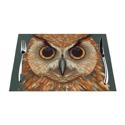 Set de table vinyle antidérapant 30x45 cm lavable pour cuisine - 4