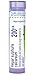 Boiron Hepar Sulphuris Calcareum 200ck, Homeopathic Medicine for Cough