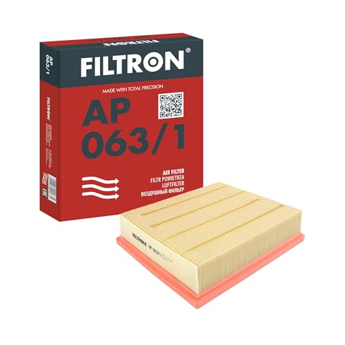 FILTRON AP 063/1 Air filter - for CARS + TRANSPORTERS