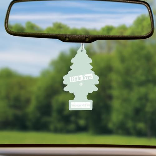 Image of LITTLE TREES Air Fresheners Car Air Freshener. Hanging Tree Provides Long Lasting Scent for Auto or Home. Moroccan Mint Tea, 24 Air Fresheners
