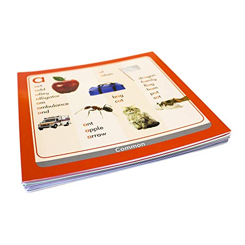Frise murale Junior Learning JL466 support éducatif et bande blanche - 5