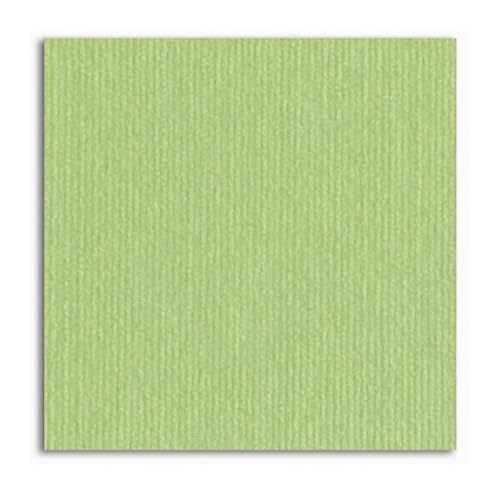 ���Ȑڒ��^�C���J�[�y�b�g�A ���ȔS���J�[�y�b�g �^�C�� 30cm X 30cm �}���`�J���[ 15 ���p�b�N(Light Green)