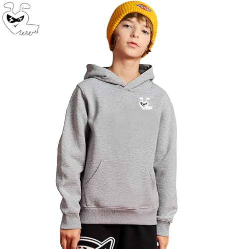 Boy Hoodie Cute Glasses Animal Ant Embroidery O-neck Cotton Pullover Kangaroo Pocket Thick Fall Loose Sweatshirt2