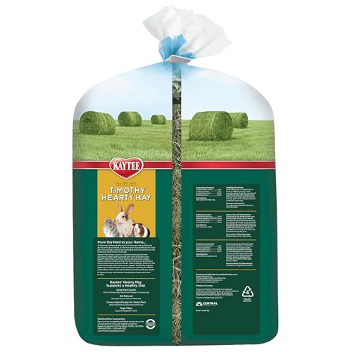 Kaytee Timothy Hearty Hay for Guinea Pigs, Rabbits & Other Small Animals, 48 oz