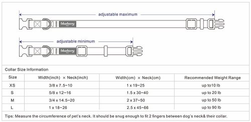 Blueberry Pet Elite Basic Dog Collar with Flame