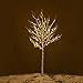 GOJOOASIS 4 Feet Lighted Birch Tree 48 LED Lights Warm White for Home Christmas Wedding Festival Party Decoration,Indoor and Outdoor Use