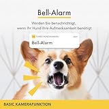 Furbo 360° Hundekamera [Basic Kamera]: Haustierkamera mit App, Rotierende 360° Sicht, Farbnachtsicht, Tracking, Leckerliwurf, Bell-Alarm, der Favorit von Haustierbesitzern auf der ganzen Welt