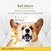 Furbo 360° Hundekamera [Basic Kamera]: Haustierkamera mit App, Rotierende 360° Sicht, Farbnachtsicht, Tracking, Leckerliwurf, Bell-Alarm, der Favorit von Haustierbesitzern auf der ganzen Welt