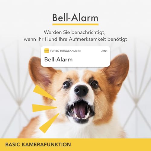 Furbo 360° Hundekamera [Basic Kamera]: Haustierkamera mit App, Rotierende 360° Sicht, Farbnachtsicht, Tracking, Leckerliwurf, Bell-Alarm, der Favorit von Haustierbesitzern auf der ganzen Welt