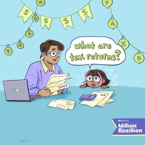 What are tax returns?