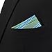 S&W SHLAX&WING Striped Pocket Square for Men Green Blue Stripes for Party Prom Wedding Woven