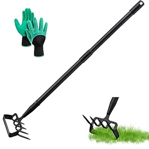 LEJIEYIN Gartenhacke 170cm Steigbügel Hacke und 4-Zahn Spike Harke 2 in 1 Edelstahl Handheld Hula Hoes Garten Werkzeug Scuffle Hacke mit einstellbarer Aktion Hacke für Unkraut / Lockerung Boden