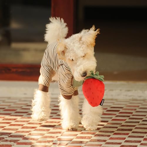 CHEWFFON Quietschende Plüschhundespielzeuge, Welpenspielzeuge, Erdbeer-Quietschspielzeug, Haltbare Hundespielzeuge mit robustem Nylonfutter, Stoffhundegeschenke für Kleine, Mittlere und Große Hunde