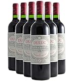 saint julien de peyrolas AOC Saint-Julien Rouge, Région Bordeaux, France