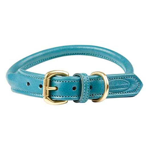 Rolled Leather Collar for Long-Haired Dogs