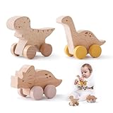 Wooden Dinosaur Cars Montessori Toys for Babies Baby Push Car Toys Wooden Toy Vehicles Development and Infant Grasping Montessori Toys(3PCS)