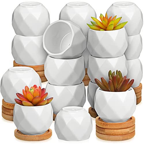 Gerrii 24 Pcs Succulent Pots Mini White Ceramic Flower Planter
