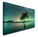 Paul Sinus Art GmbH Landschaft mit Milchstraßenhimmel 120x 50cm Panorama Leinwand Bild XXL Format Wandbilder Wohnzimmer Wohnung Deko Kunstdrucke
