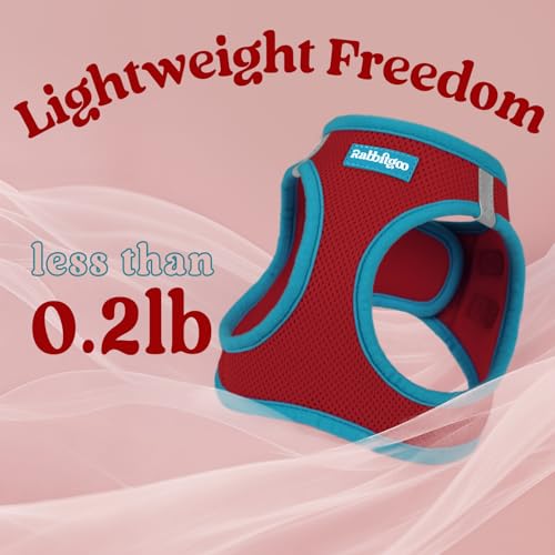 rabbitgoo Dog Harness Small Sized and Leash Set, Step-in Breathable Pet Harness, Soft Walking Reflective Puppy Vest for Small Dogs, Red & Teal, S by rabbitgoo - Image 6