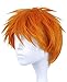 RyuLifeStyle Bleach Cosplay Kurosaki Ichigo Wig Orange Man Boys Synthetic Hair + Wig Cap