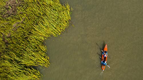 Wilderness Systems Pamlico 145 | Sit Inside Recreational Kayak | Tandem Kayak | 14' 6" | Red #TOP5