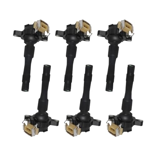 Bobine d'allumage 12131748018 compatible avec BMW E38 E39 E46 X5 et Land Rover 75