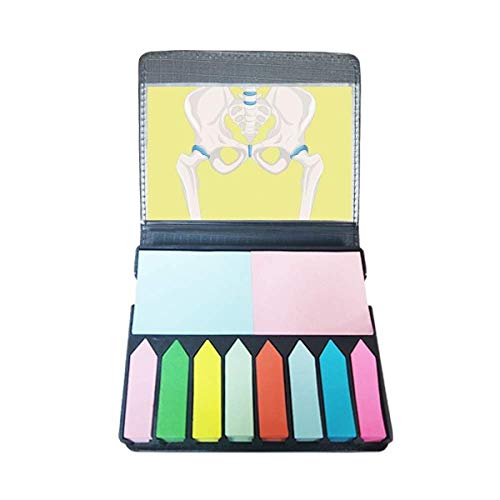 Hanche pelvienne note couleur sur votre bureau : apprenez et annotez vos livres de médecine