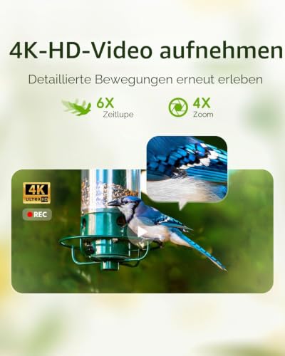 Hibird 4K HD Smart Bird Feeder Kamera, solarbetrieben, 2.4G/5G Dual WiFi, 6X Zeitlupenvideo, KI identifiziert 10.000+ Arten