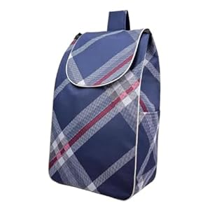 QICBYING Große Ersatz-Tasche Für Einkaufstrolleys - 40L wasserdichte Aufbewahrungstasche Aus Oxford-Gewebe, Einkaufswagen Ersatztasche Mit Seitentaschen, Multifunktionale Trolley-Tasche(B)