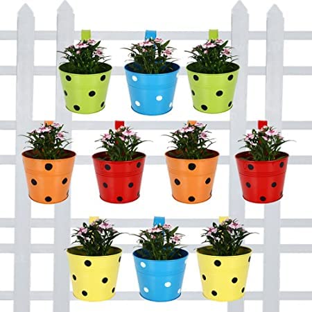 AYMH Metal Hanging Round Dotted Oval Pot Railing Planter Flower Pot Stand Wall Planters with Drainage Hole for Home and Office Balcony, Window and Wall Decor (Multicolor, Pack of 10) (B0CW5LGMCT) Amazon Price History, Amazon Price Tracker