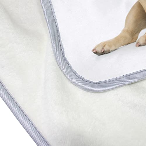Kids Throw Blanket For Sofa Couch, Beautiful French Bulldog, Soft Cozy Warm Bed Blankets Gift For Adults Girl Boys 50 X 60 In #TOP4