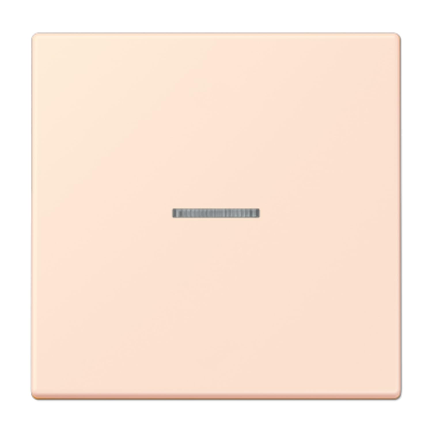 Touche simple avec viseur LC32082 JUNG pour interrupteur