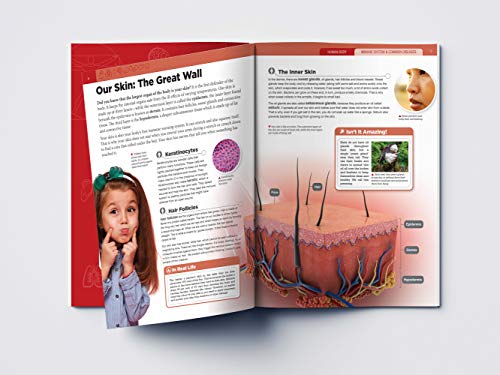 Image of Human Body - Immune System And Common Diseases: Knowledge Encyclopedia For Children