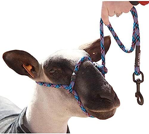 YBW Sheep Rope Halter with Snap Lead Blue Fusion (Blk Blu Pk)