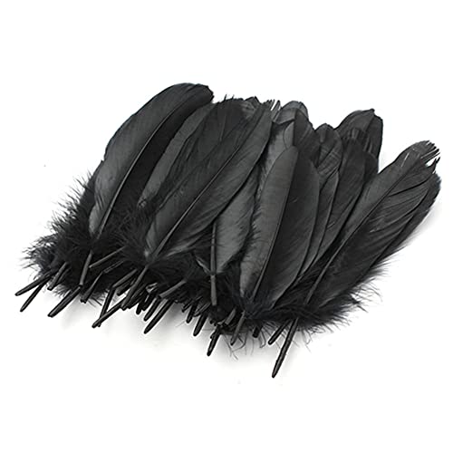 Celine Lin 100Pcs Dyed Home Decor Goose Feather For Diy Art,Home Party Or Wedding 6-8Inch,Black #TOP1