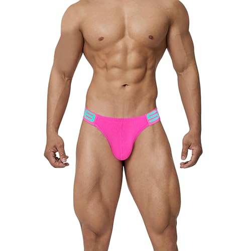 Men's Sexy Briefs Low Rise Tagless Fitness Bikini Athletic Stretch Pouch Underwear