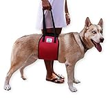 MTSolutions Lift Harness for Canine Dog, Red