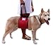 MTSolutions Lift Harness for Canine Dog, Red